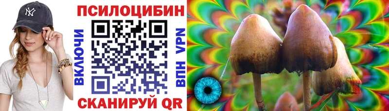 Галлюциногенные грибы мицелий  Красный Холм 